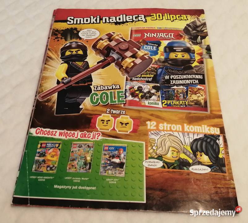 Lego Ninjago 62018 38 Książeczki dzieci czaso Książki dla dzieci Czeladź