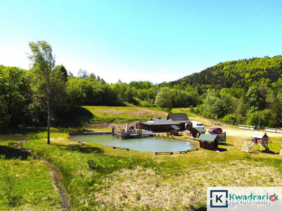 Działka 11659m2 Krzywe