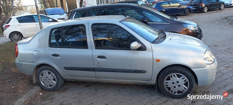 Tenault thalia Morawica