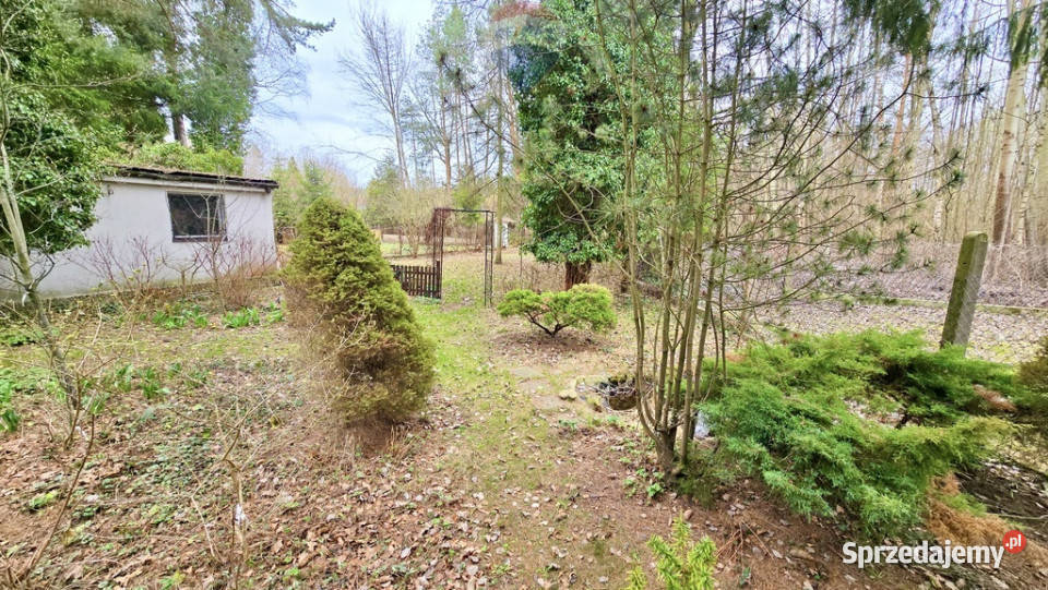 Działka zabudowana Zalesie Górne Kwiat Paproci mazowieckie