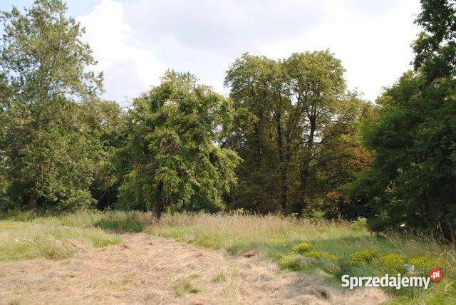 dom 1000 metrów Łukowo wielkopolskie Łukowo