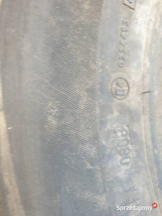 Opona Summerstar PaintS 20565R15 V do 240 km/h Dobre Miasto