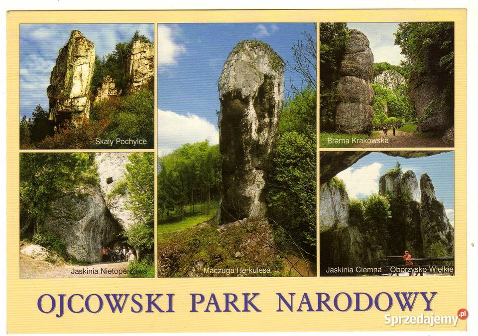 OJCOWSKI PARK NARODOWY WIELOWIDOKOWA Krynki sprzedam