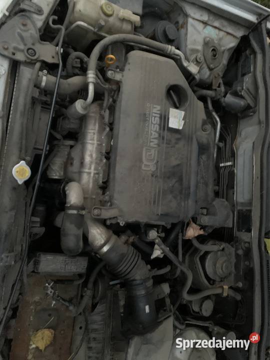 Nissan Almera 22d na części 100KM Zielona Góra sprzedam