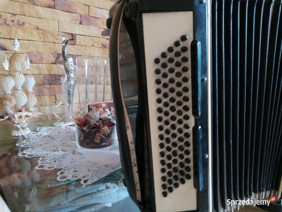 akordeon FLIS świętokrzyskie Morawica