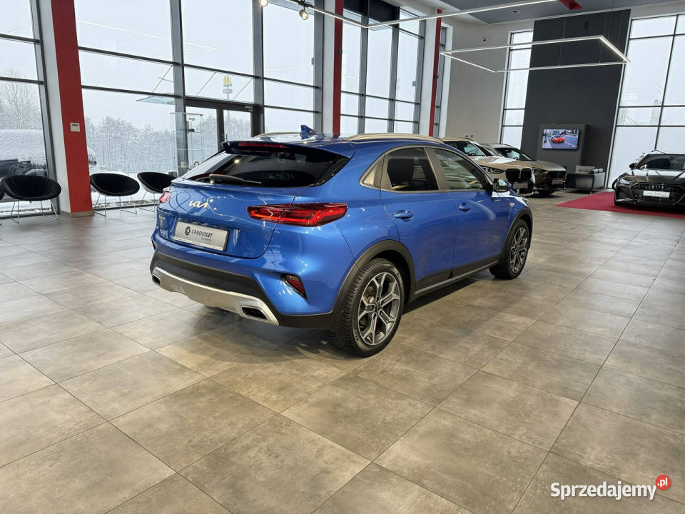 Kia XCeed MSmart 15TGDI 160 M6 2022 r salon wspomaganie kierownicy