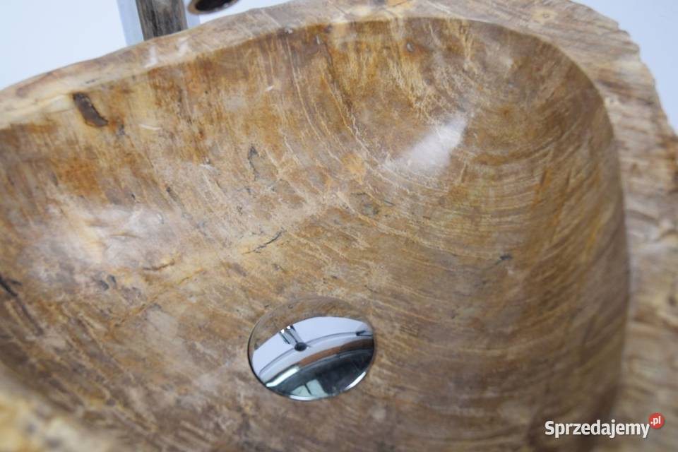 Fossil Wood SMALL SALAWATI SW31 kamienna pomorskie Gdynia