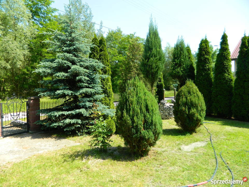 Piękny Dom do sprzedania kNowego Korczyna Rzegocin sprzedam