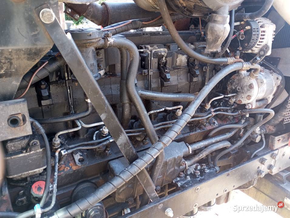Exportowa wersja Zetor Forterra 117412007 Suwałki
