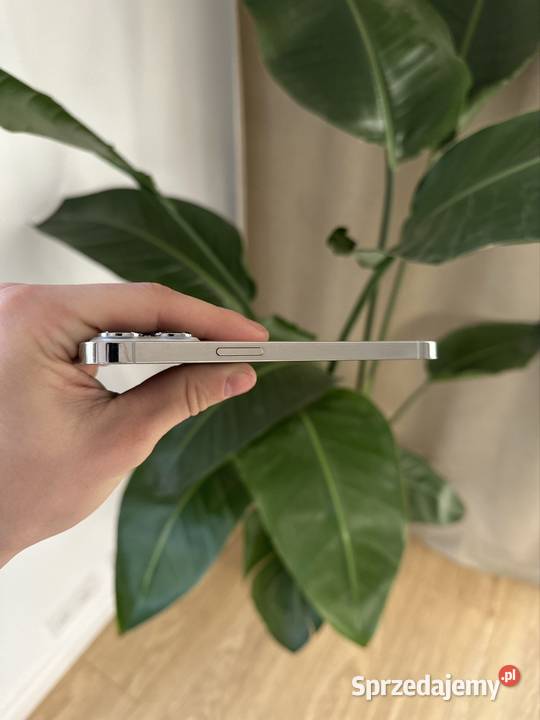 iPhone 13 Pro 128GB 80 Silver Stan łódzkie Bełchatów