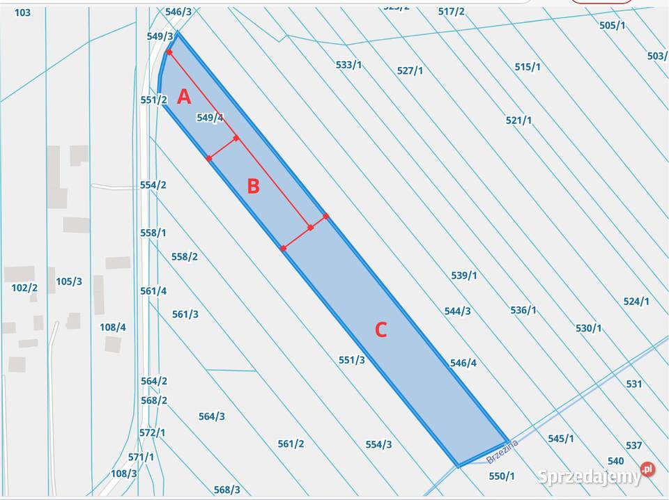 Działka z domkiem letniskowym Ryczki S19 Sprzedaż