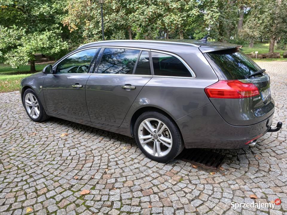 Opel Insignia 2010 20 Diesel EL Klapa BiXenon