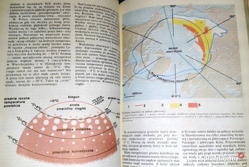 Zrozumieć lodowce Jacek Jania sprzedam