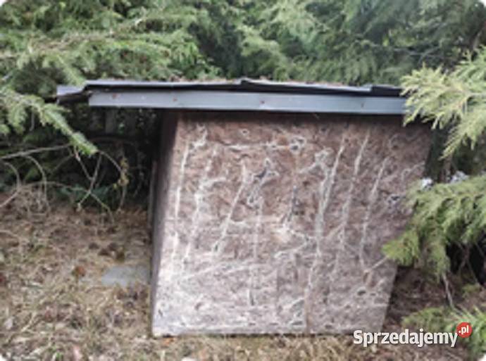 Buda ukochanego pupila Szadek