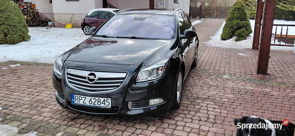 Opel Insignia 20 cdti 130 2011r Insignia Motoryzacja Przeworsk