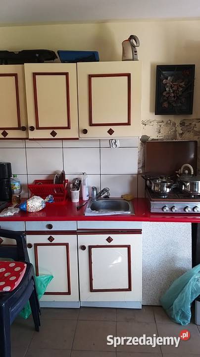 Działka ROD Tamel ogródek działkowy 21zł/m2 Tarnów