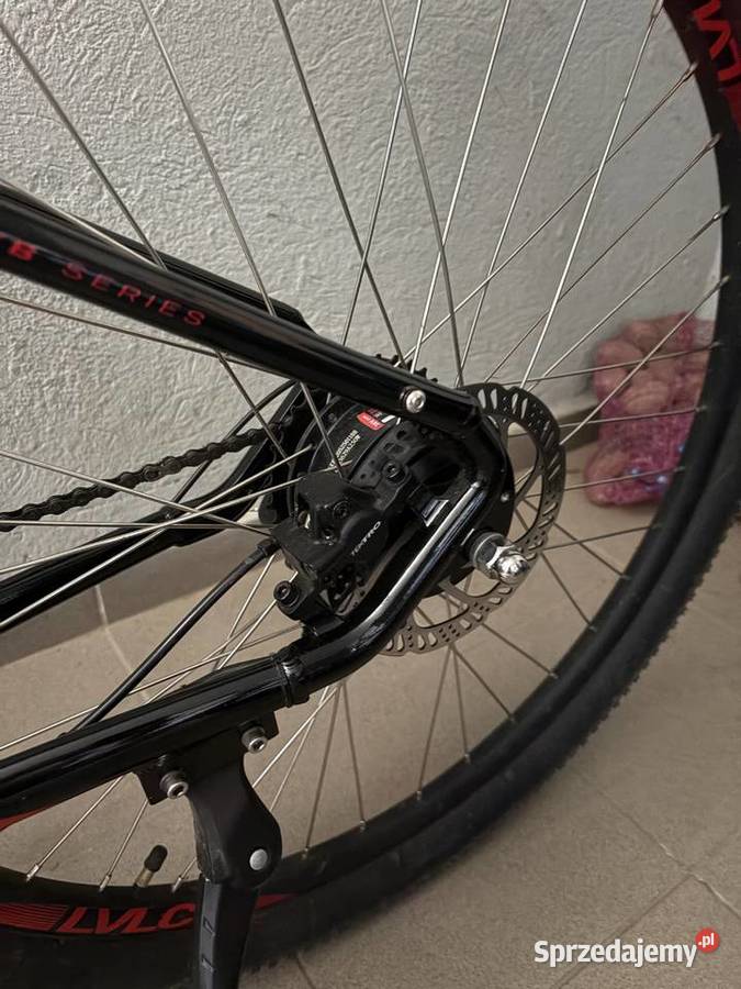 Sprzedam rower elektryczny firmy Lovelec śląskie Rybnik