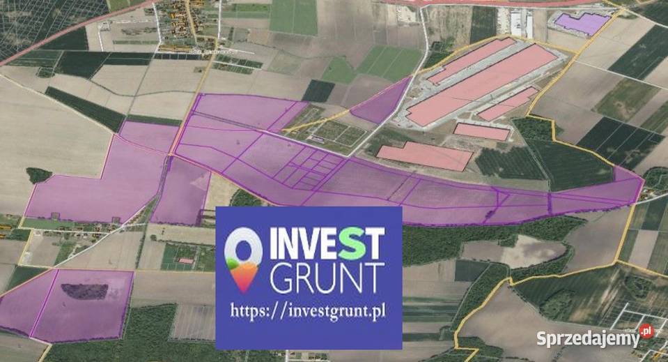 14083 ha przetarg na dzierżawę gruntów rolnych Gniechowice