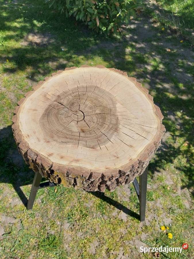 Sprzedam plastry orzecha wielkopolskie Złotków sprzedam