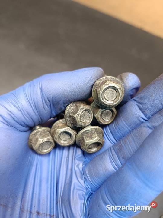 Śruby koło tył 18 zębatka tył napęd części Gołaczewy