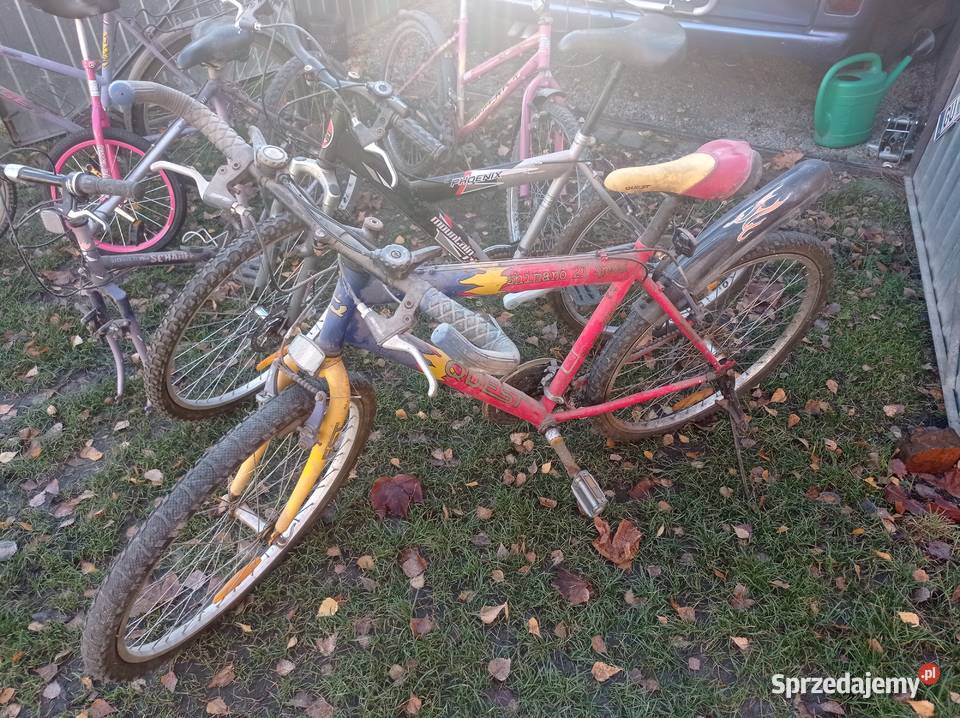 Pakiet Rowerów z Niemiec Góral Damka Męski Górskie, MTB dolnośląskie Dzierżoniów