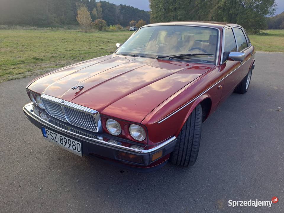JAGUAR DAIMLER XJ81 V12 aluminiowe felgi Wronki sprzedam