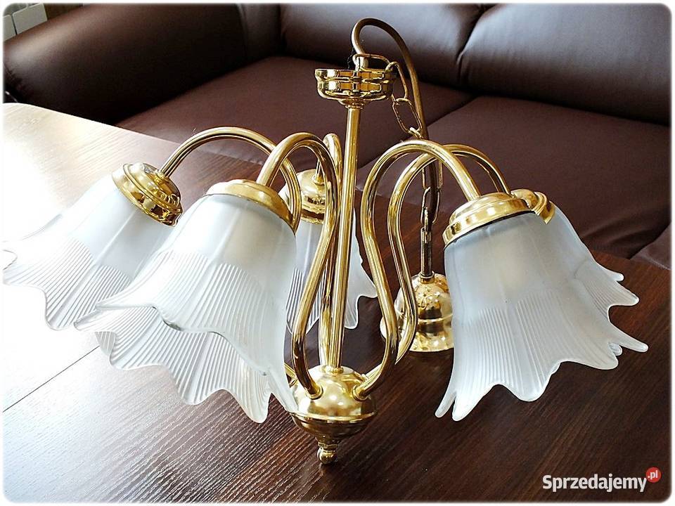 Złoty Żyrandol 5 ramienny Tulipany Lampa wisząca Lampy wiszące lubuskie Żary