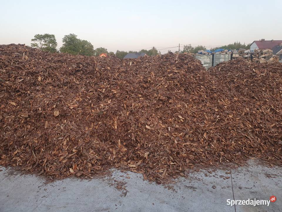 Kora ogrodowa ozdobna dekoracyjna Kora Brzesko