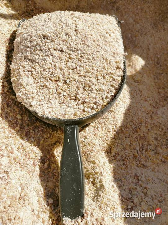 Kukurydza CCM Big Bag Transport Mielona Kiszona Nasielsk