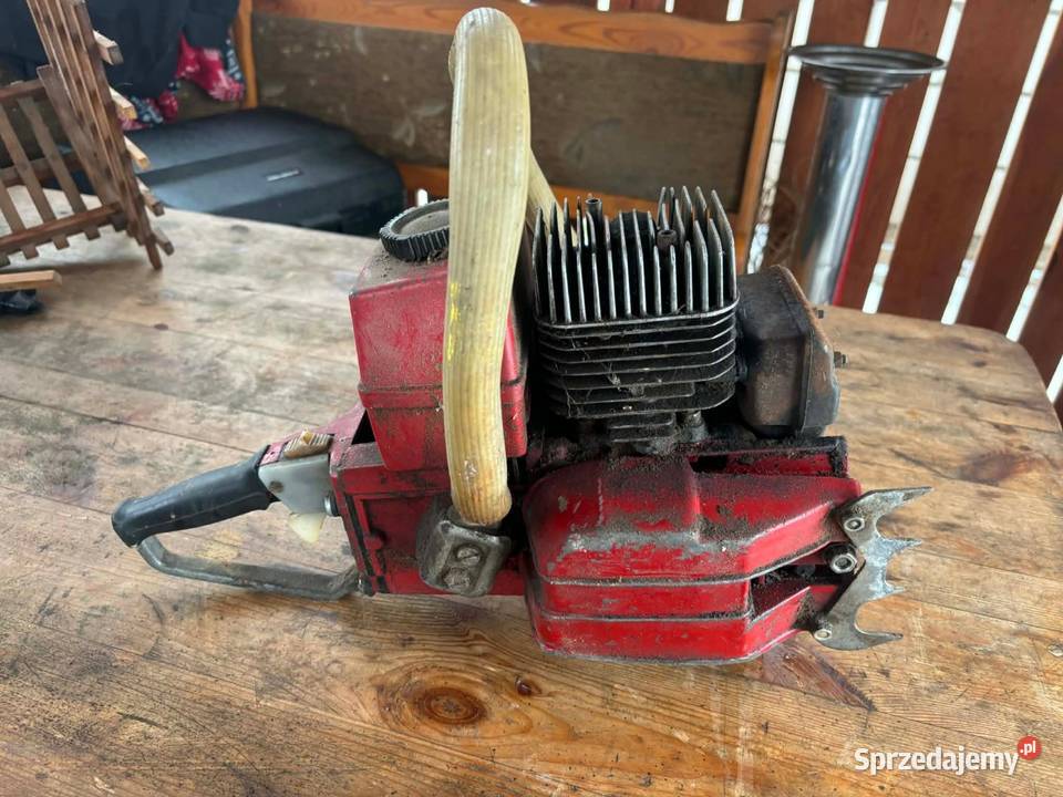 Piła dolpima Chorzele sprzedam