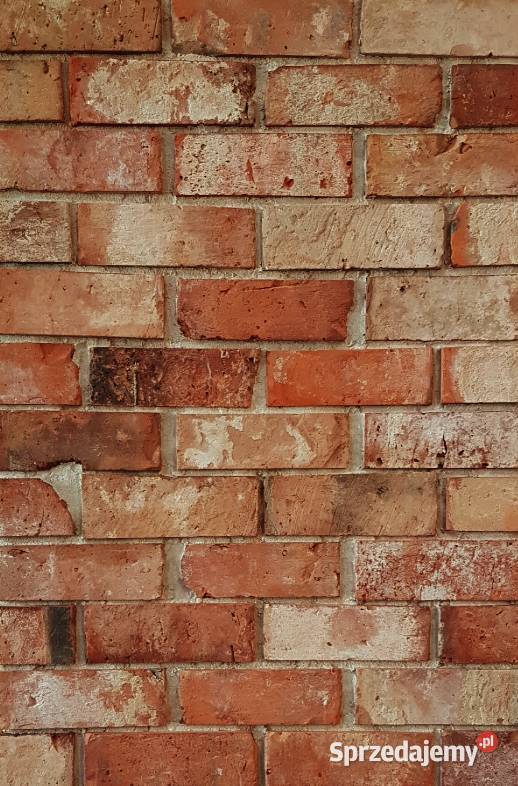 Płytki z cegły lico toruńskie Retro Warszawa