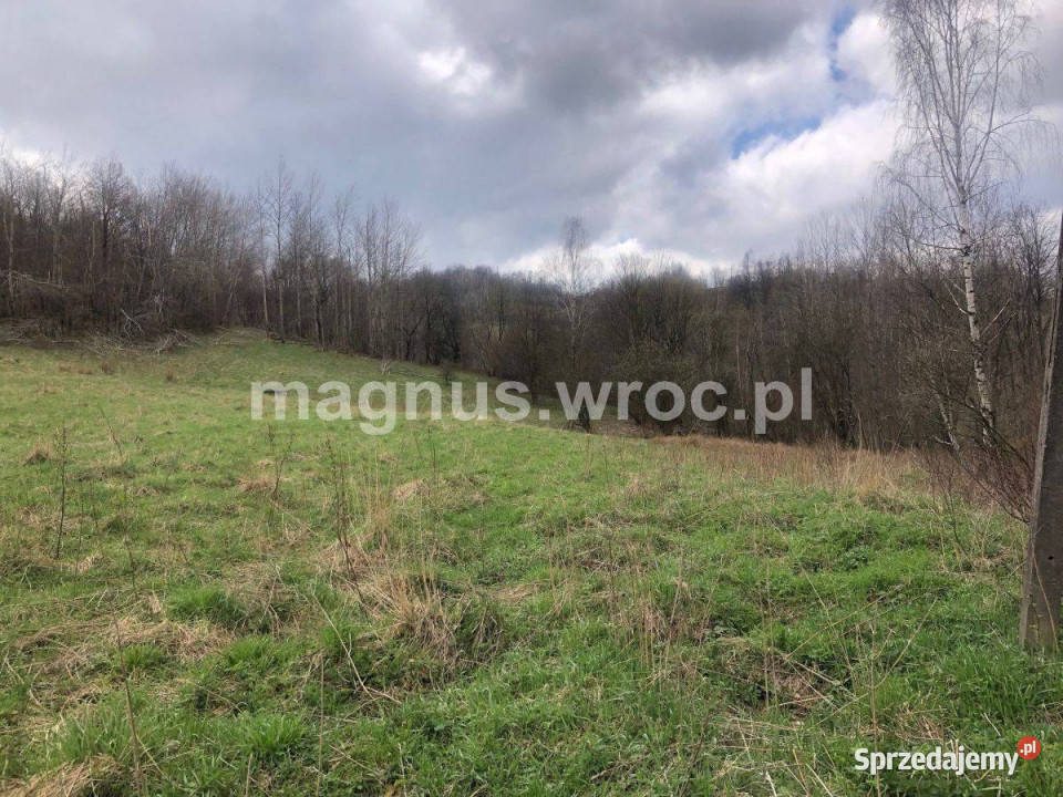 Na sprzedaż duża działka rolna bez mpz w u stóp Olszyniec