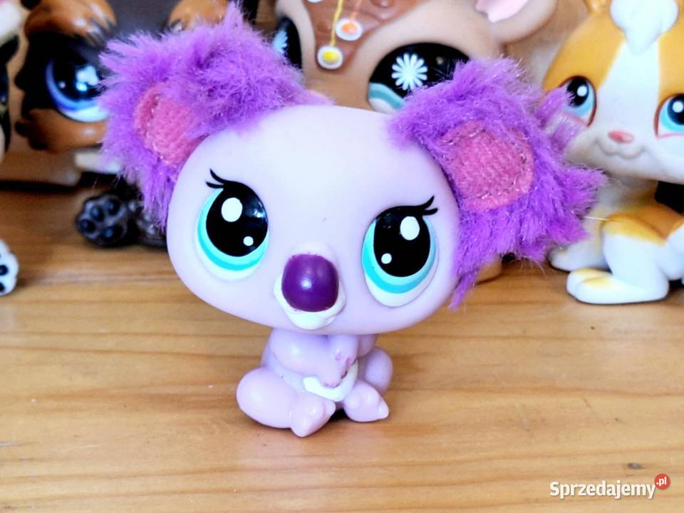 Koala puchata Littlest Pet Shop warmińsko-mazurskie Braniewo