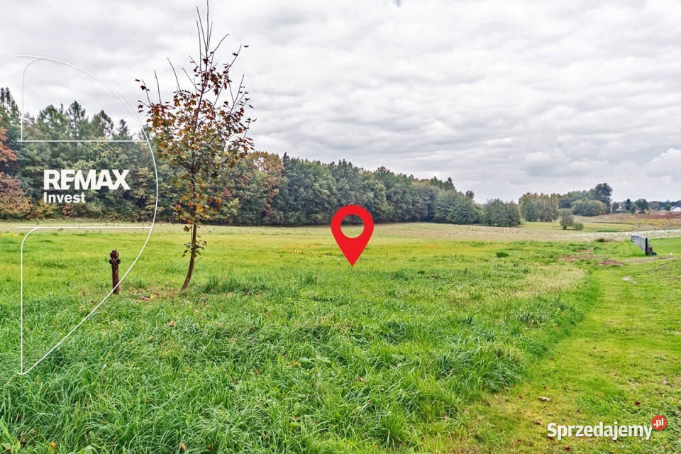 Piękna działka rolna pod lasem 6138m2 Sprzedaż małopolskie Witkowice