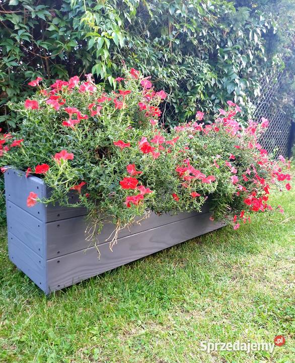 Donica drewniana skrzynia masywna Kalisz