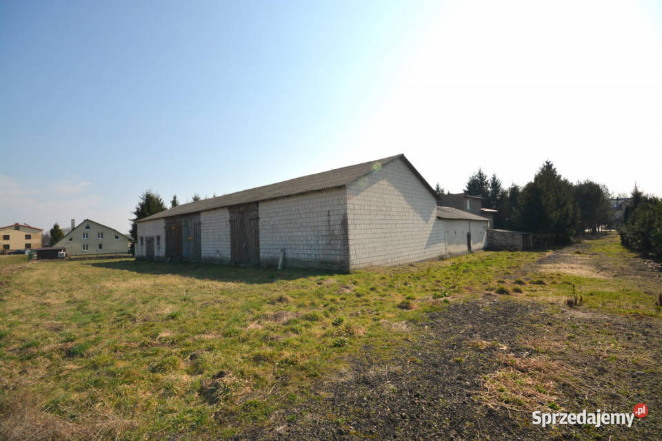 Działka 2227m Jawidz szambo sprzedam