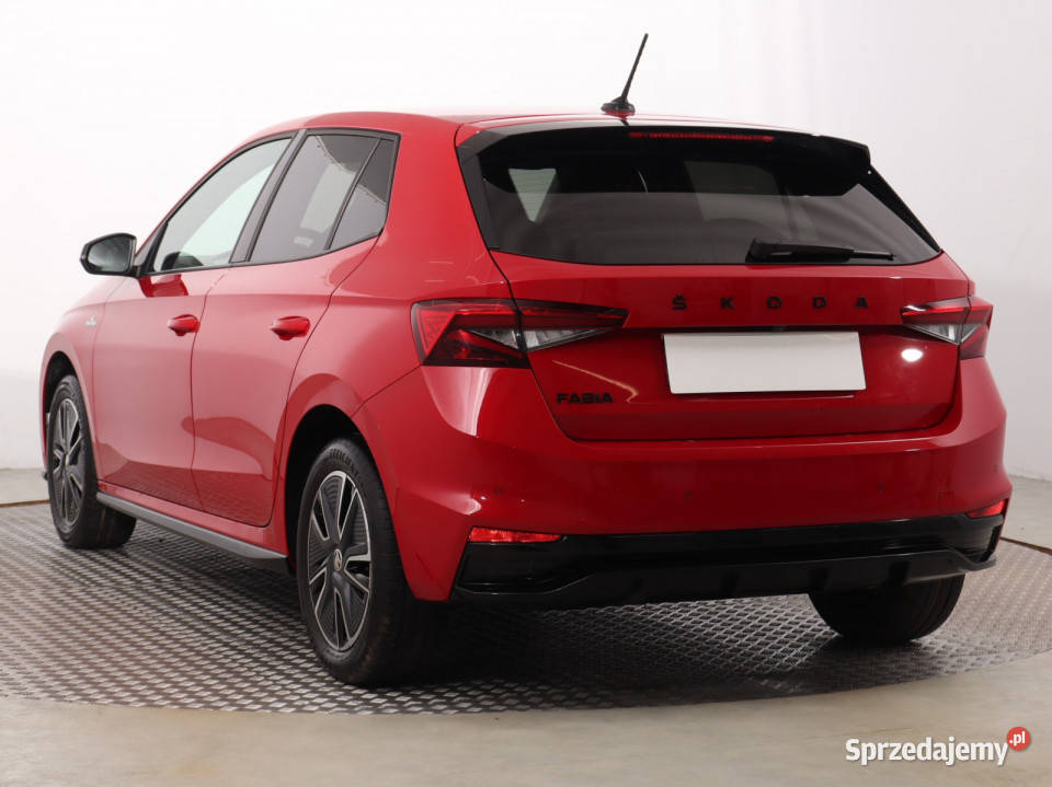 Skoda Fabia 10 TSI elektryczne lusterka Katowice