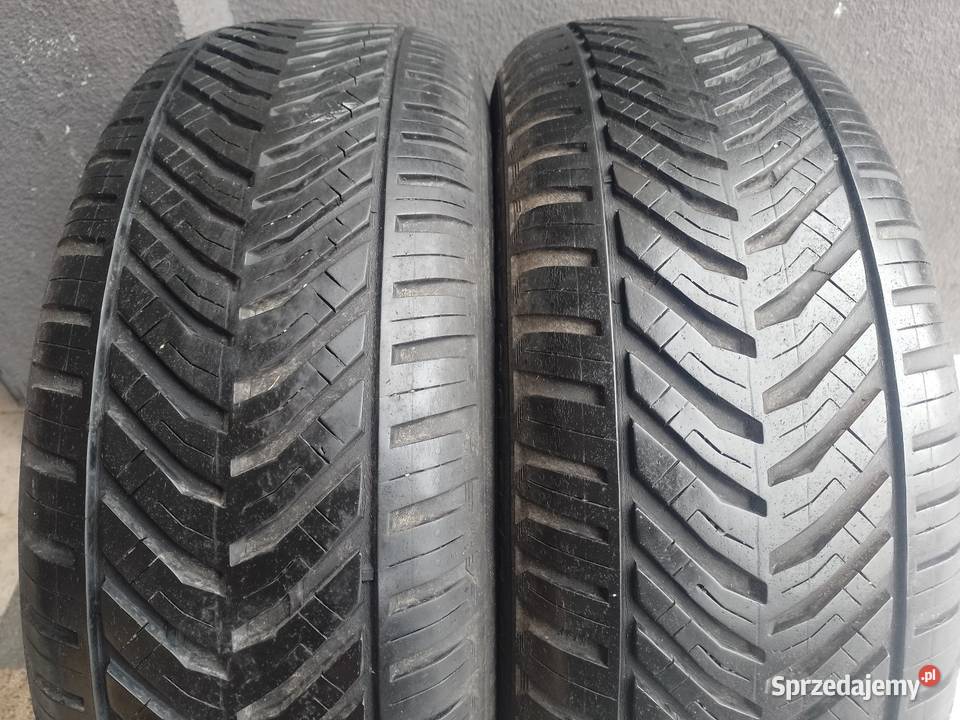 Wielosezonowe Kormoran 16