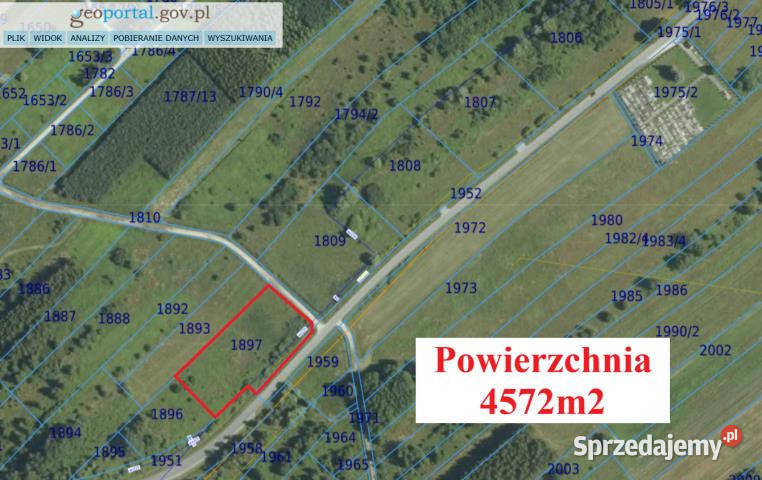 Działka Borek 4572m2