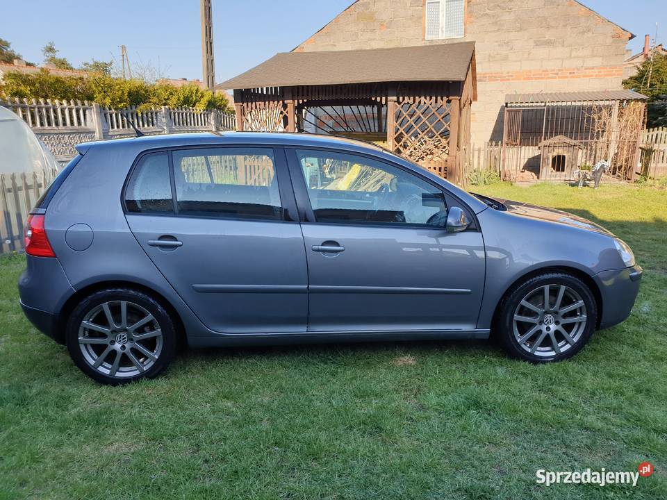 Volkswagen golf 5 bluemotion lakier metallic Lisewo