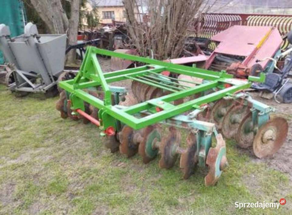 Talerzówka Śniadka Druga