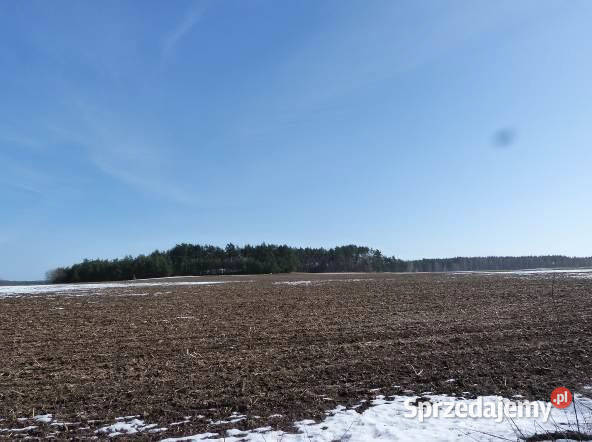 Syndyk sprzeda udział 38 w prawie własności 201675m2