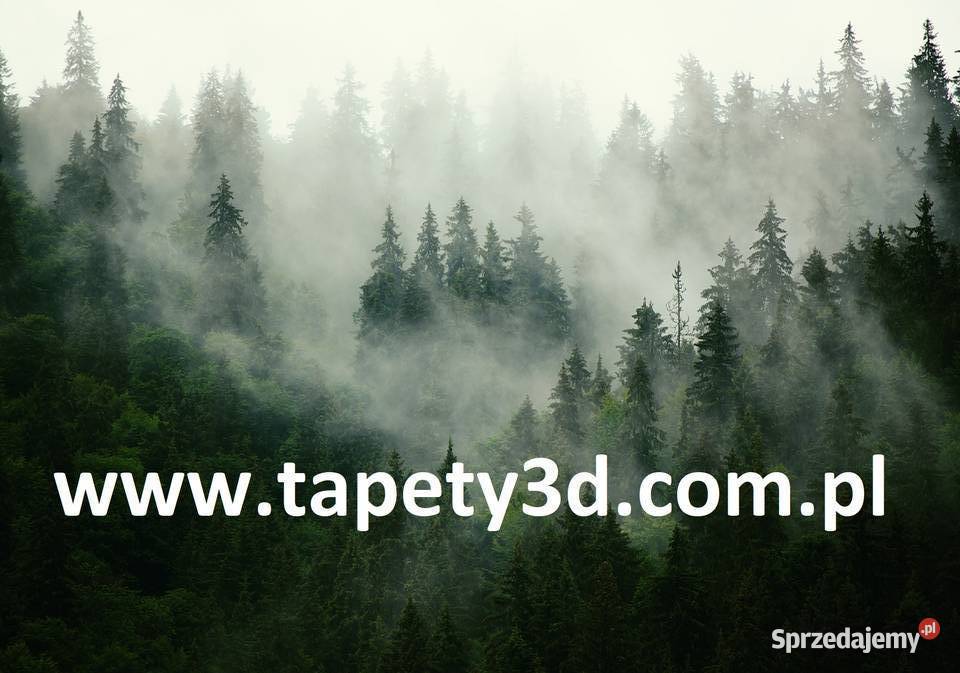 Tapeta fototapeta Statek kosmiczny Kosmos Różne wewnętrzne Leszno