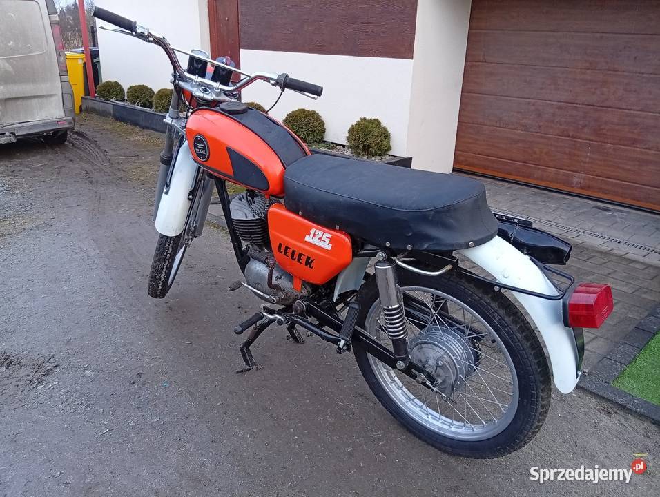 Wsk lelek pomarańczowy Syców