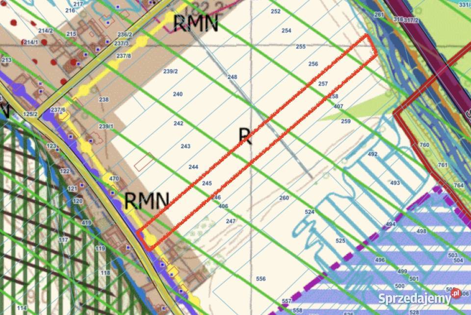 Działka Rolno Budowlana 9900 m2 Nietulisko Małe Sprzedaż sprzedam