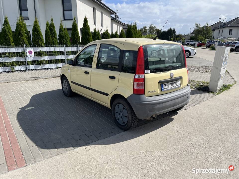 Wypożyczalnia aut Szczecin oferuje wynajem Fiat