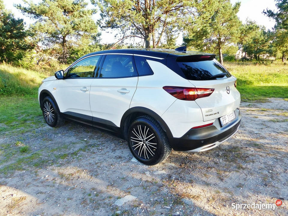 Opel Grandland X 15 Grandland X Piła