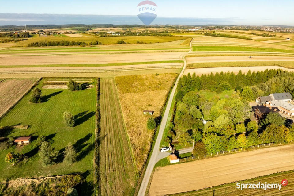 DZIAŁKA SKAŁA utwardzona Skała