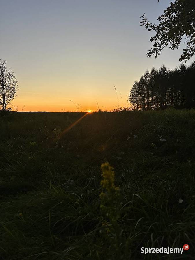 Na sprzedaż działki budowlane podkarpackie Wola Krzywiecka
