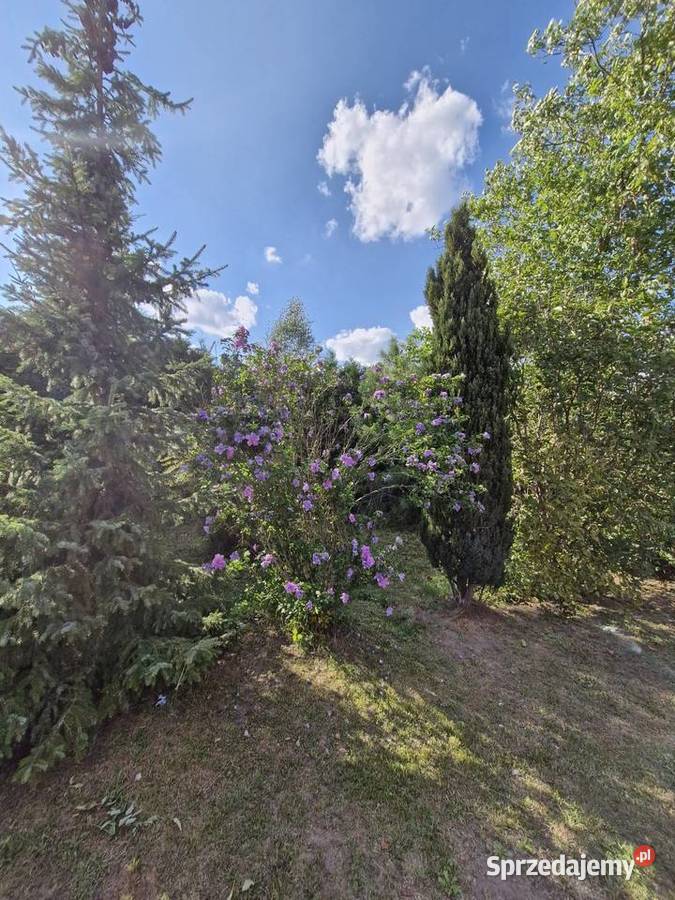 Wyjątkowe siedlisko na malowniczej działce 2500 mieszkalny Białobrzegi